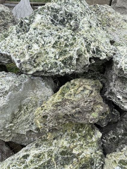 Zielony Wapień Green Spaghetti Ozdoba Akwarystyczna Malawi Tanganika