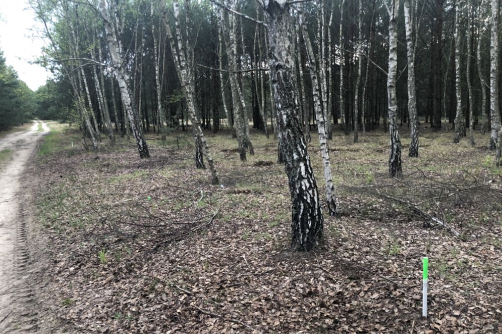 Dzialka budowlana 2000m2 blisko jeziora ,bezpośrednio ,ZAMIANA