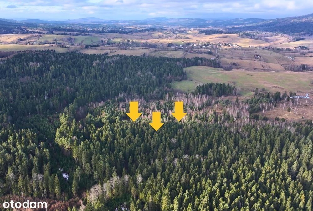 Działka na sprzedaż, Czarna