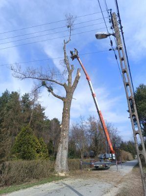 Usługi żurawiem 1.5t