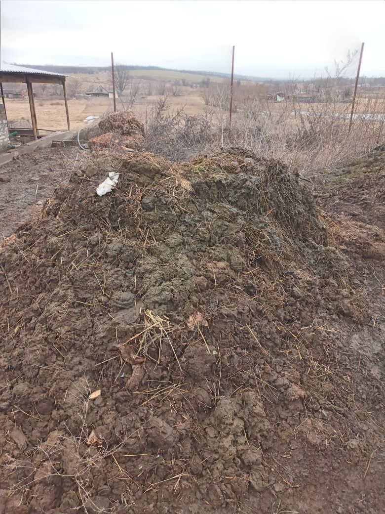 Перегной навоз коровяк в мешках или прицепом такж можливо вантожівкою