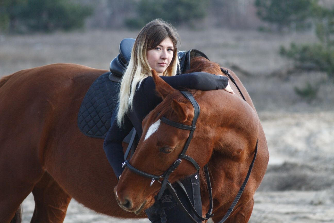 Аренда лошади для фотосессии, видеосъёмки Днепр сотрудничество