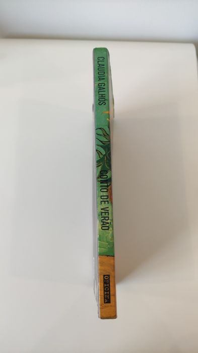 Livro Conto de verão - Cláudia Galhós (portes incluídos)