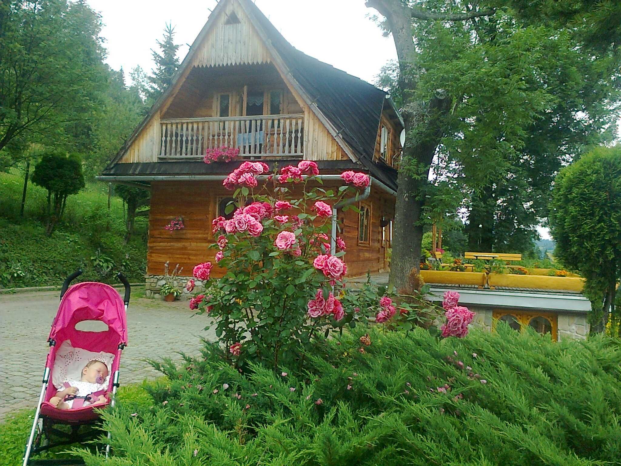 Zwolnił  się Domek  góralski z sauną w  Zakopanem z widokiem na Tatry