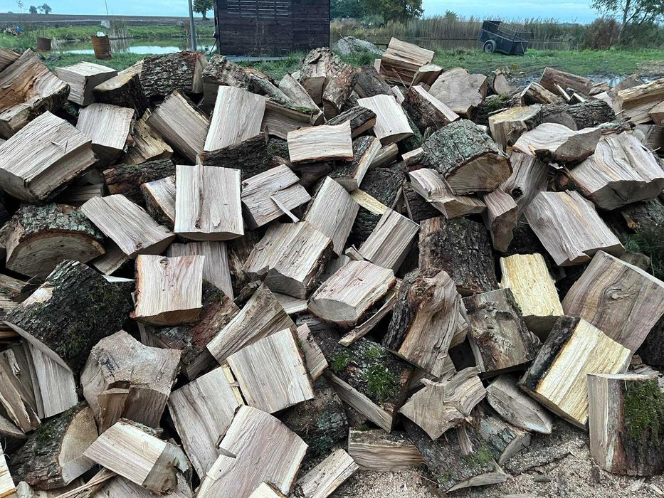 Twarde drewno jesion klon buk