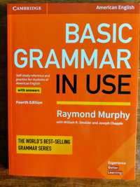 Basic grammar in use. American English