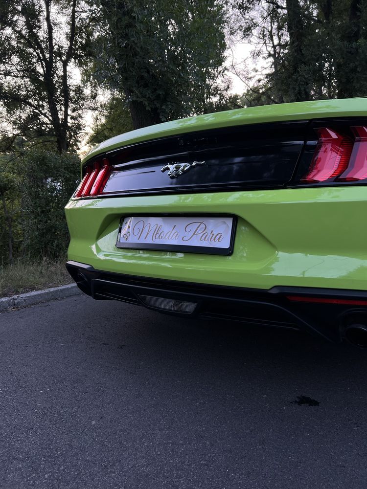 Ford Mustang 2.3 EcoBoost 317 KM do Ślubu i Innych Okazji