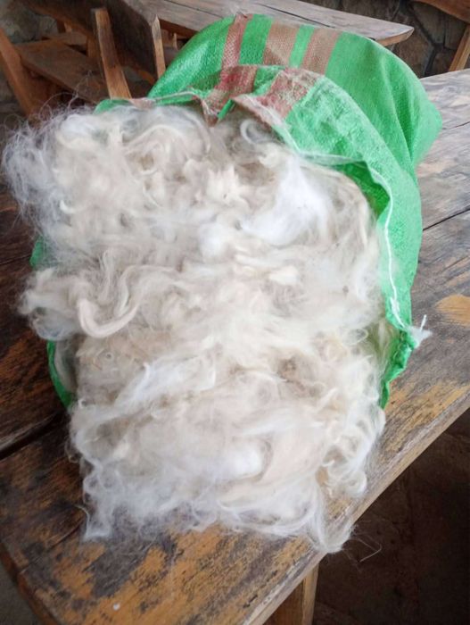 Sprzedam wełnę alpak