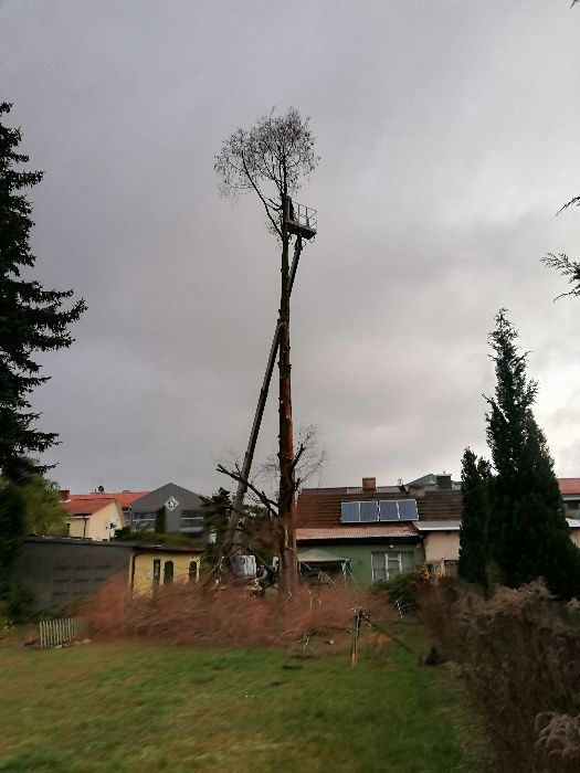Profesjonalna wycinka drzew,rębak do gałęzi,FREZOWANIE PNI,kosz