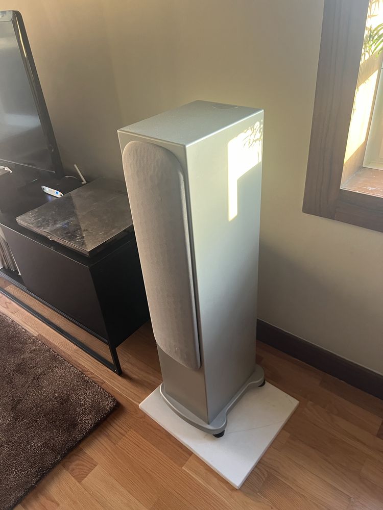 Monitor audio RS6