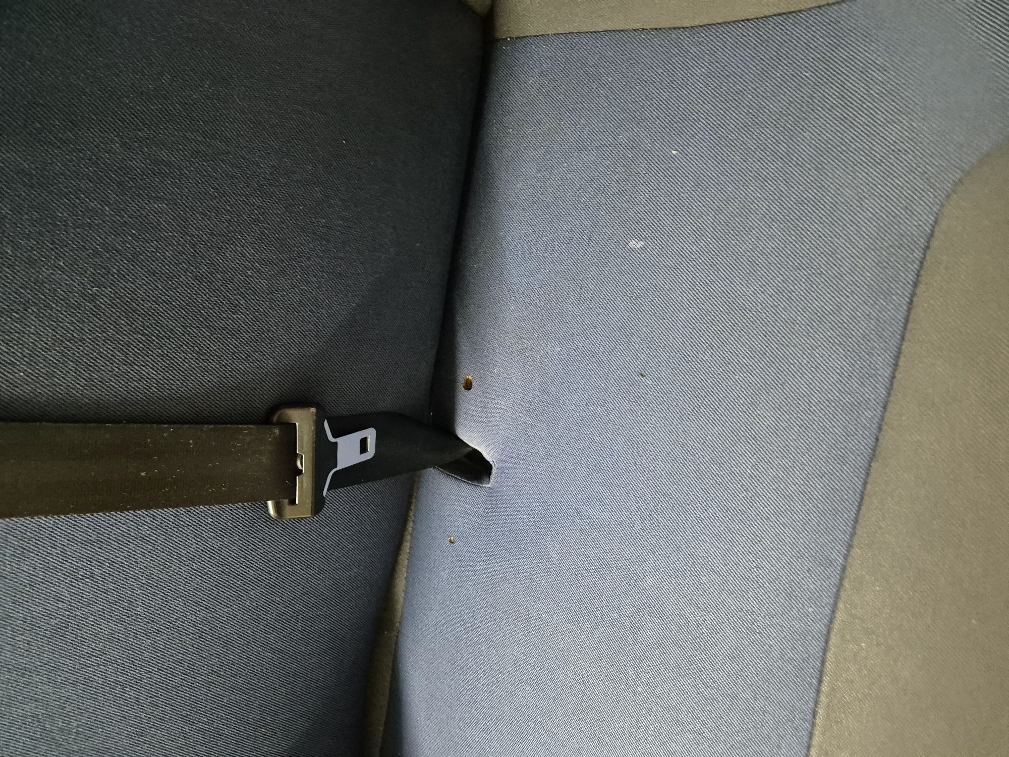 Fotele Renault trafic