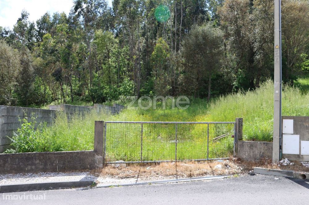 Terreno com Potencial de Construção – Fajões, Oliveira de Azeméis...