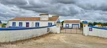 Terreno Rustico 5250m2 com moradia não licenciada  Pegões Claros