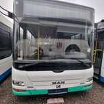 Autobus - MAN A66