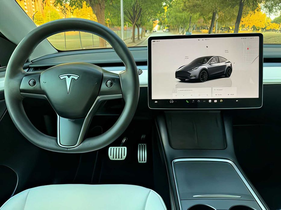 Tesla Model Y      2022
