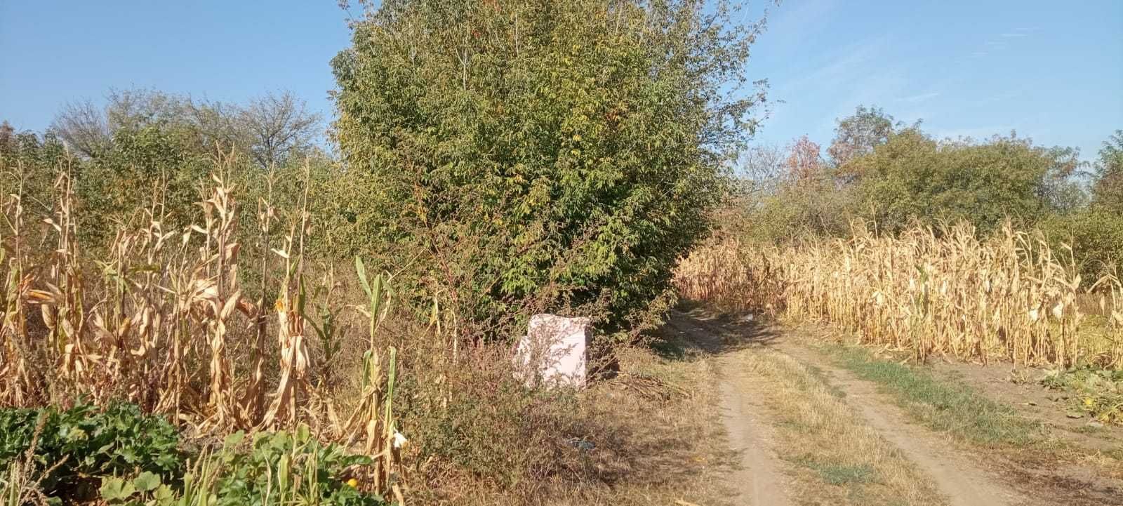 Продам земельну ділянку