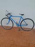 Bicicleta Single Speed