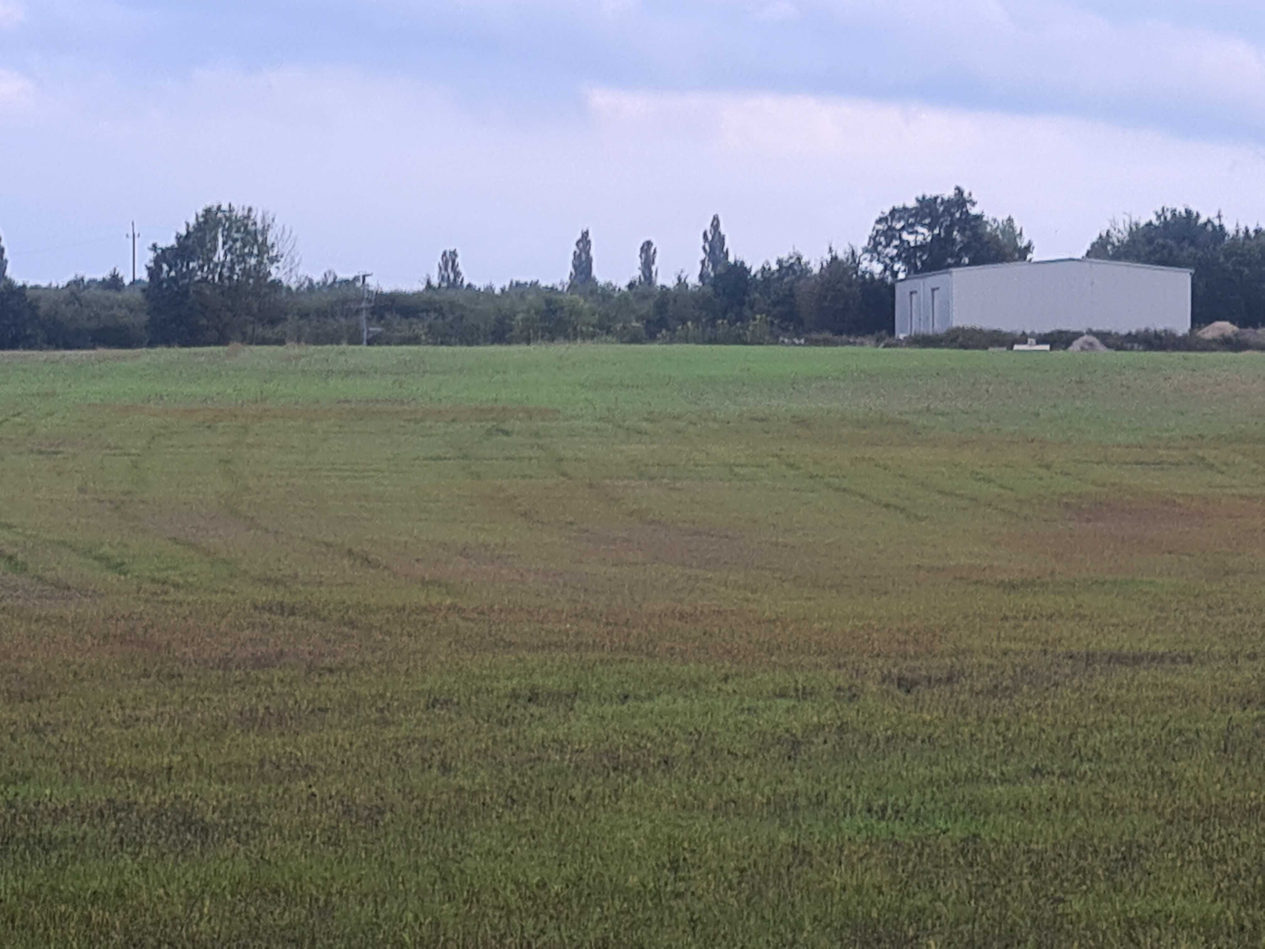 Działka 100000m2 inwestycyjna przemysłowa 20km do Zielona Góra