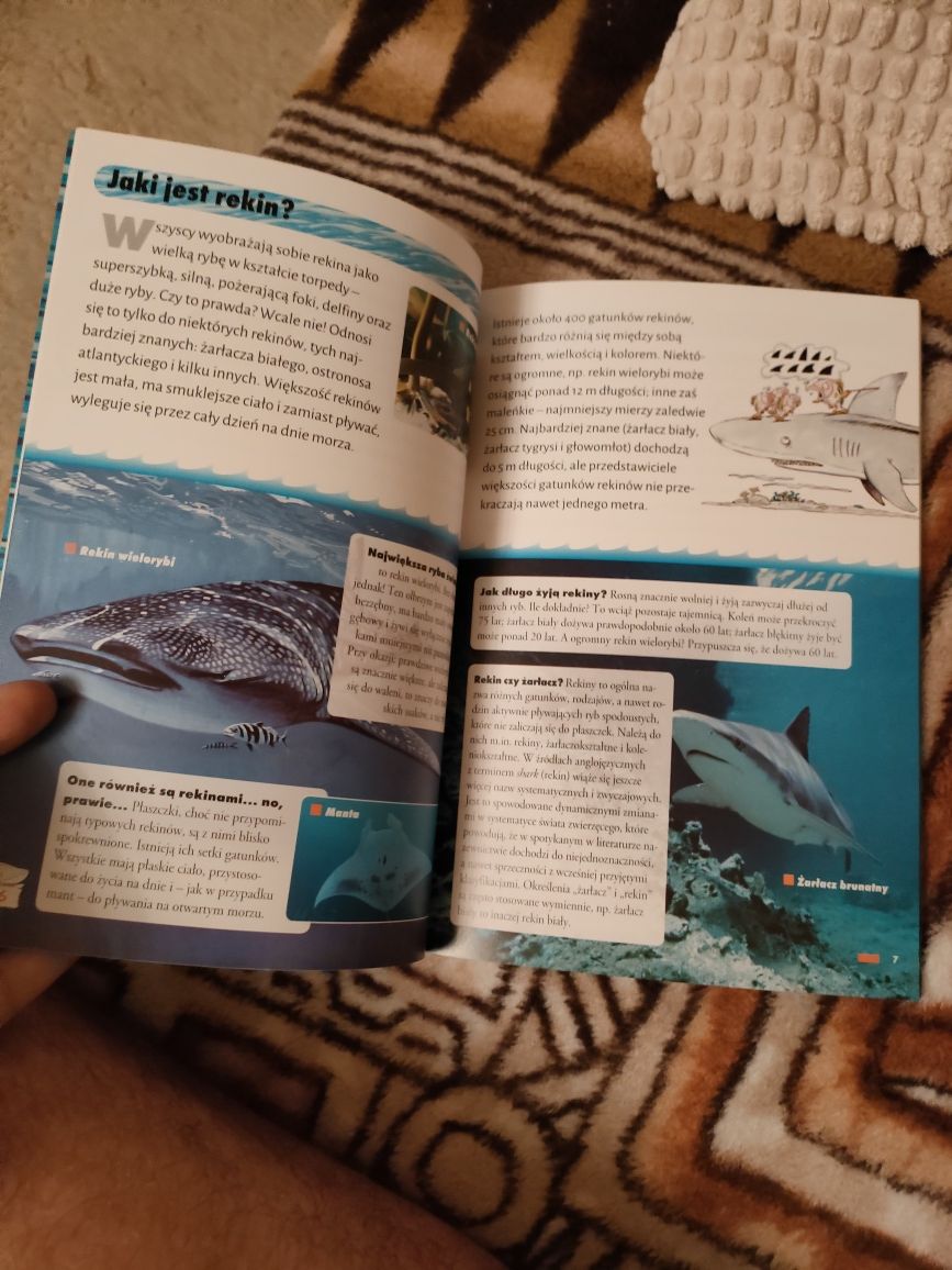 Dziecięca Biblioteczka - Co rekiny robią przez cały dzień w morzu