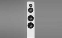 NOWA Obudowa głośnikowa SB Acoustics do kitu Sasandu biały High-End