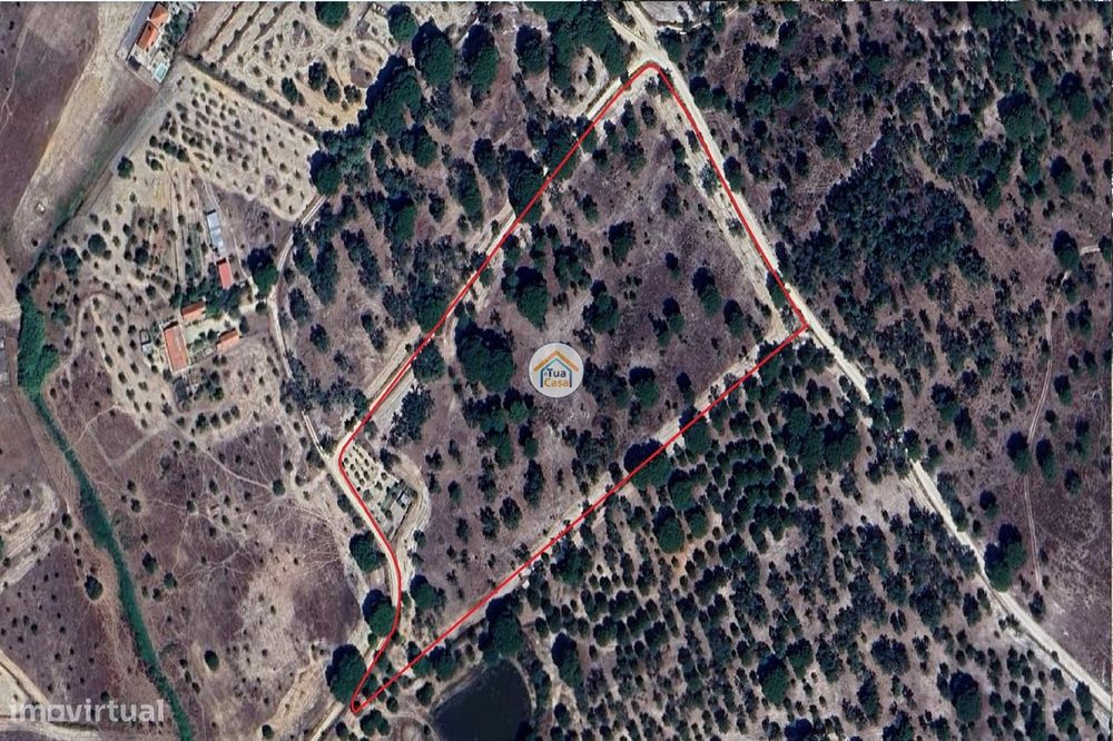 Terreno Rústico com 3,625 Hectares em Cortiçadas de Lavre e Lavre