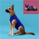 NOVO - KVP Recova Shirt Camisola de Recuperação cão/gato 8 tamanhos