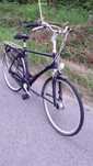 Rower batavus mambo