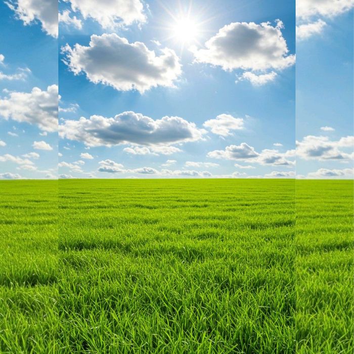 Продаж земельної ділянки