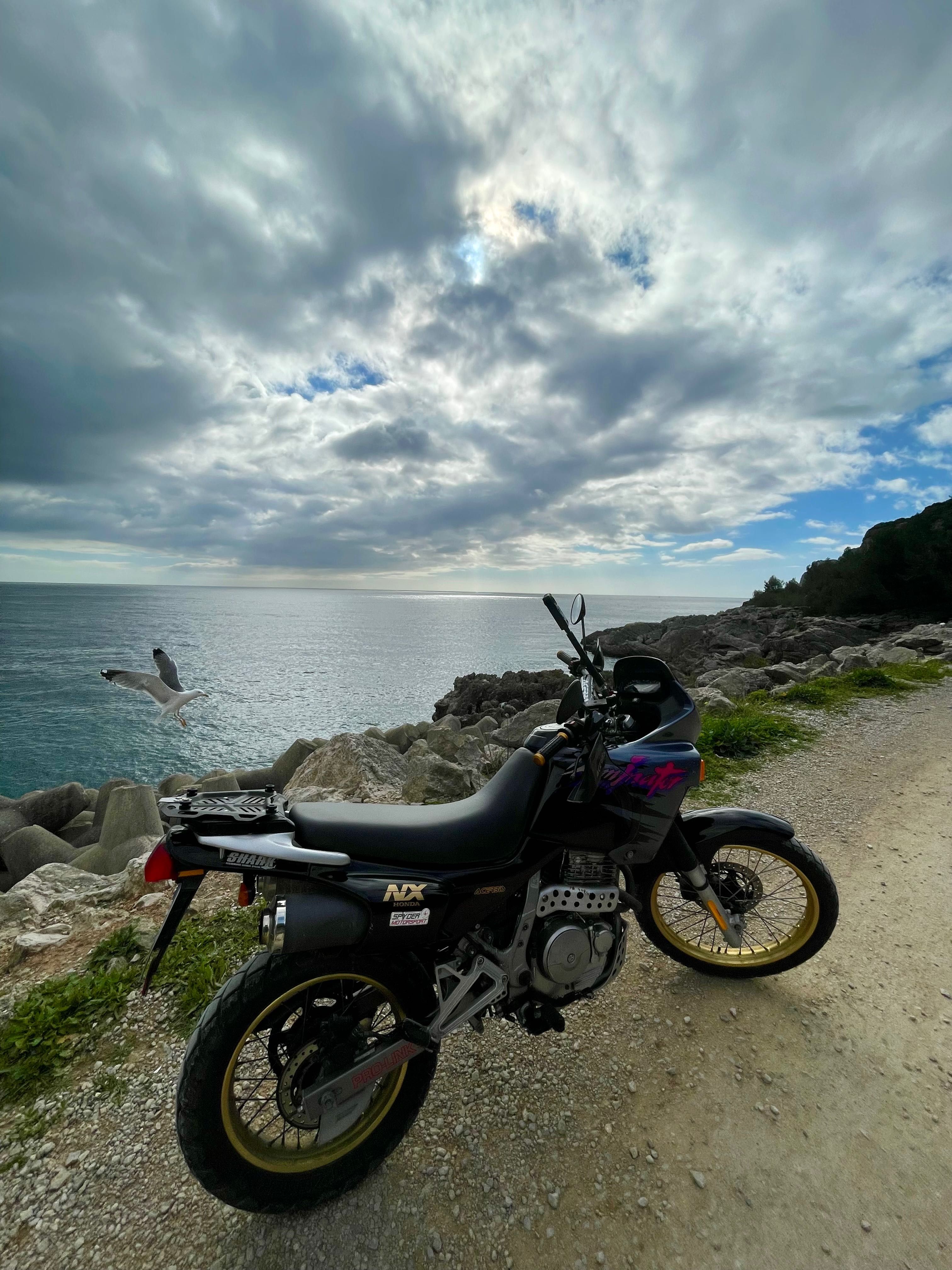 Honda NX650 - aluguer de motos / motorcycle rental