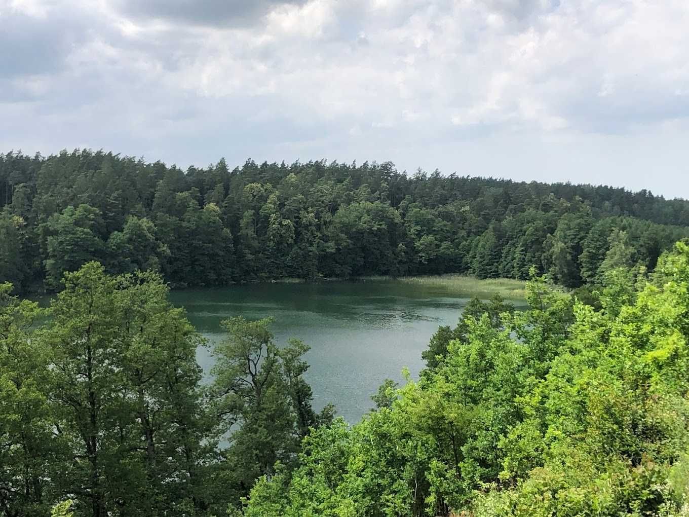 Działka siedliskowa w zabudowie na sprzedaż Drwęck 800 m2 k. Olsztynka