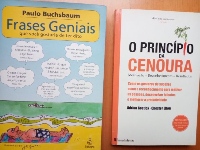 Vendo livros impecáveis