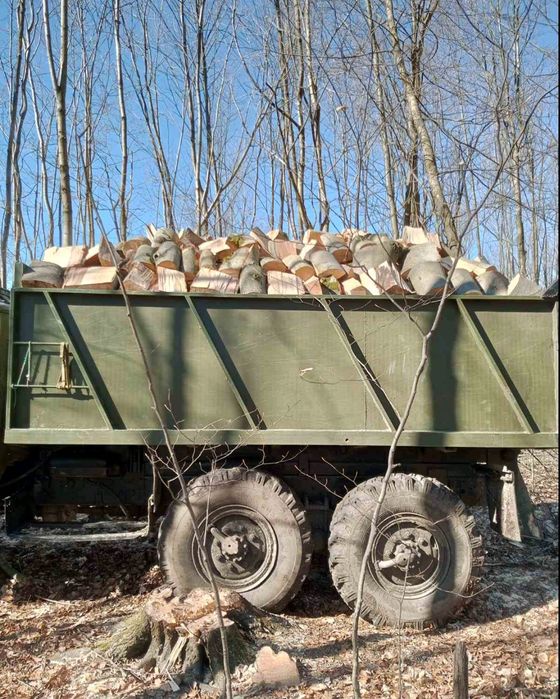 Продаю дрова твердих і м'яких порід