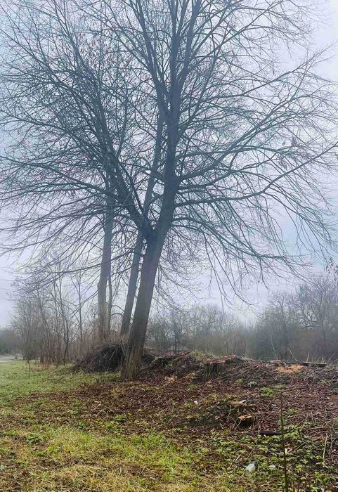 Продається земельна ділянка в с. Парпурівці 2187