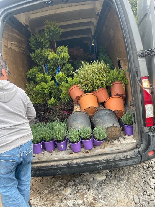 Jardinsoliveira jardineiros