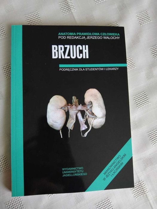 Anatomia Skawina- Brzuch