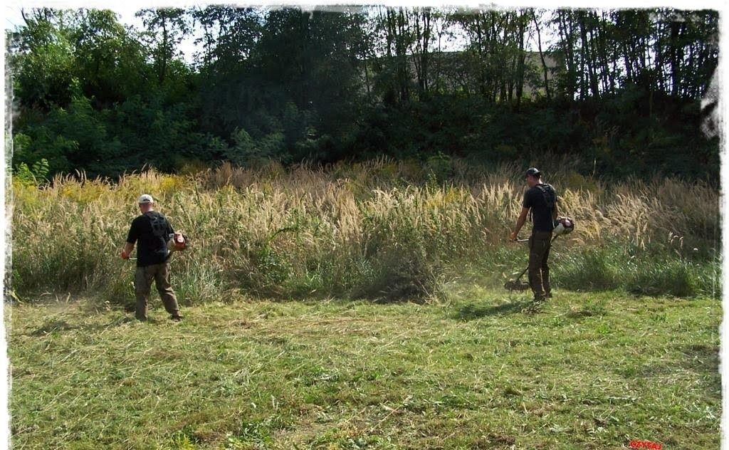 Koszenie trawy, wykaszanie, karczowanie, ogrody