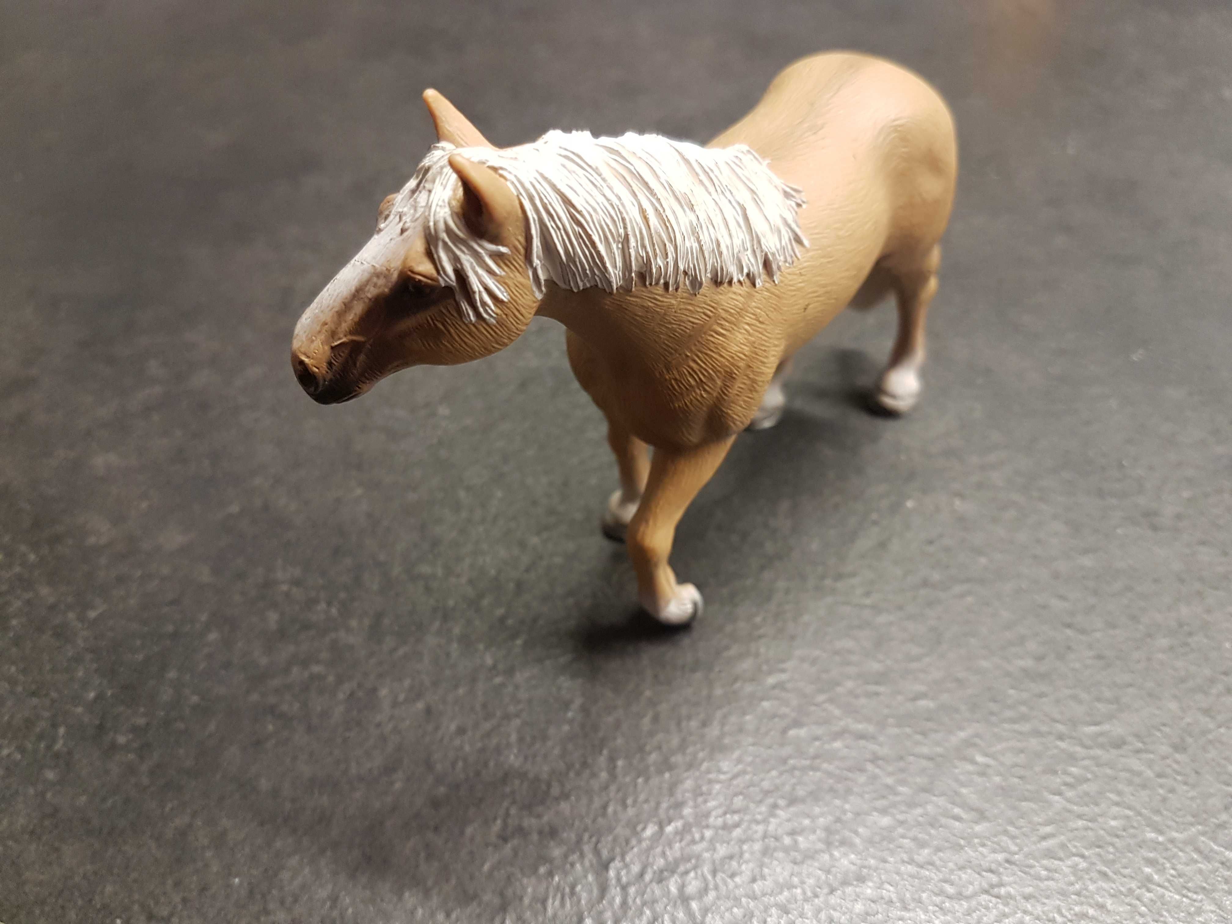 Figurka Schleich ogier koń rasy Palomino 13618 konik