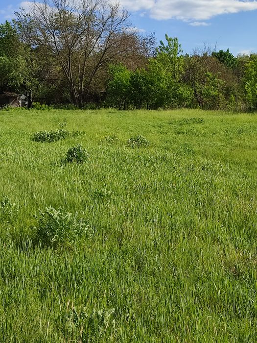 Продам участок,орловщина