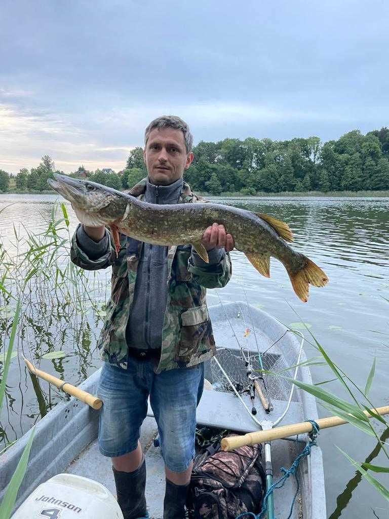 Domek z linią brzegową jeziora Dworackie. Mazury