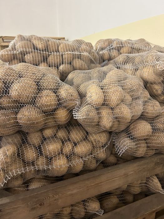 Ziemniaki Faktura Vat