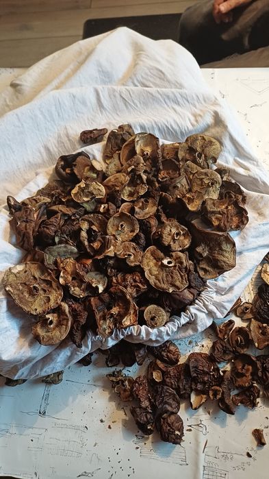 500 gram suszonych podgrzybków