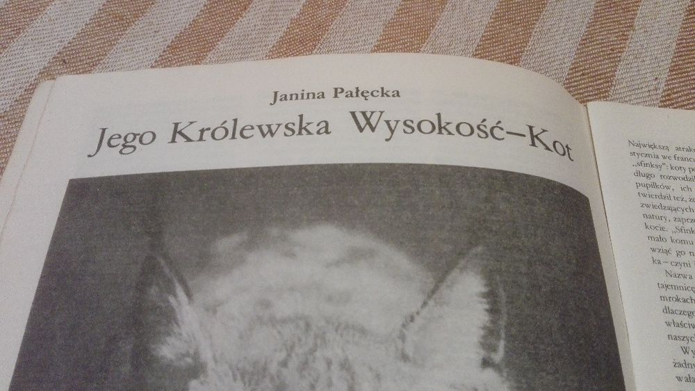 Fikcje i Fakty lata 80-te Rafał Brzeski Wisłocka Kalejdoskop seksu