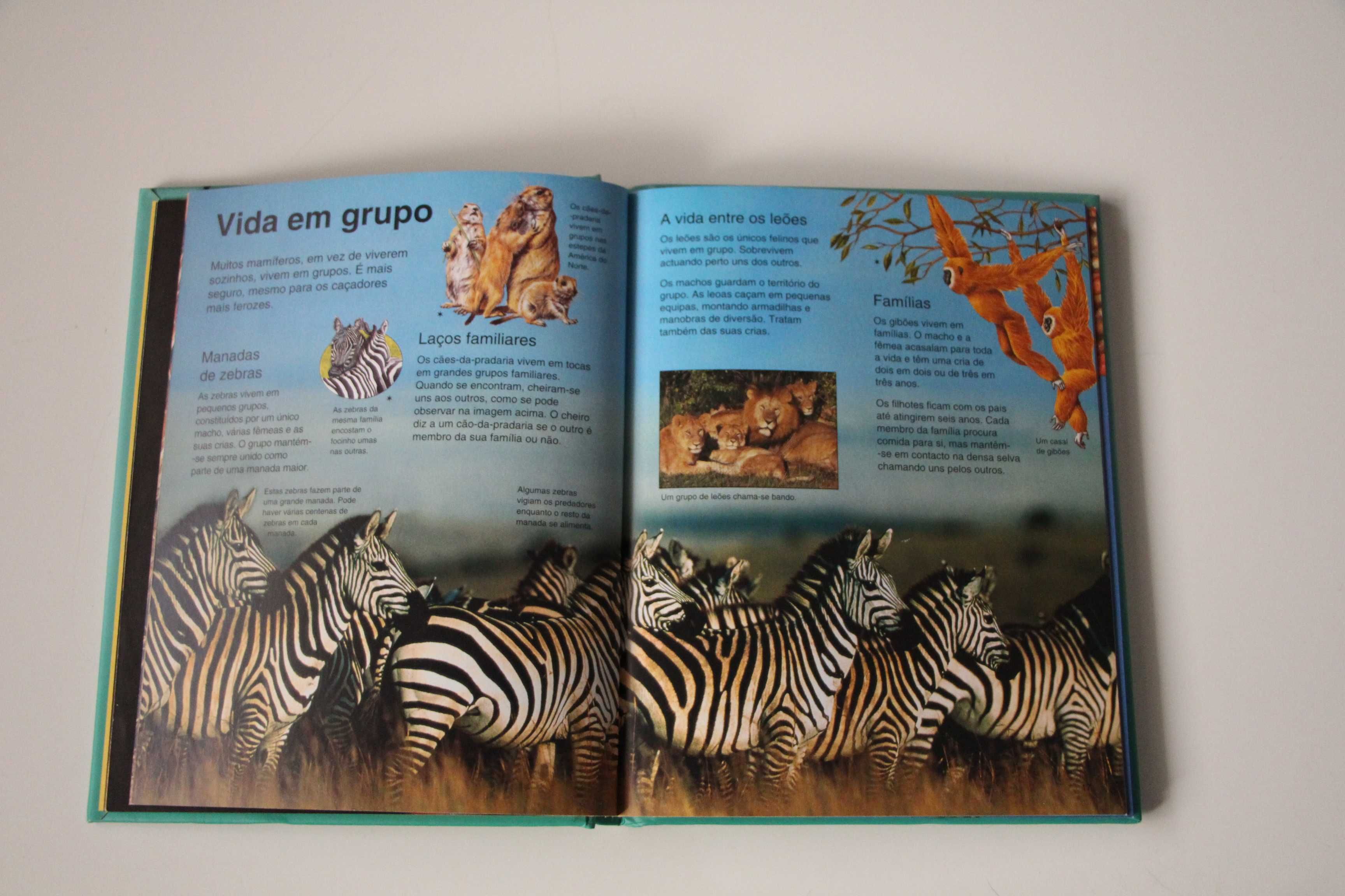 2 Livros infantis - Mini enciclopédia animais/Mini enciclopédia Espaço