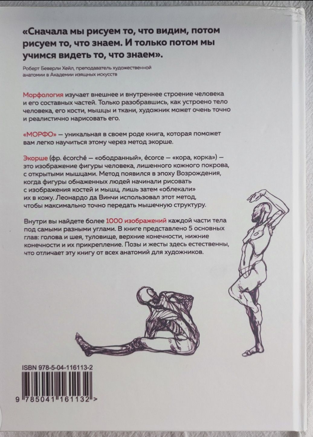 Мишель Лауричелла, Морфо (Анатомия для художников)