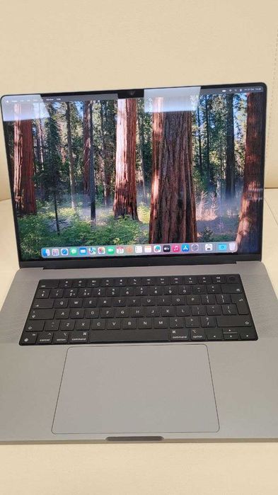 MacBook Pro 16” A2485 • M1 Max • 32GB / 512GB