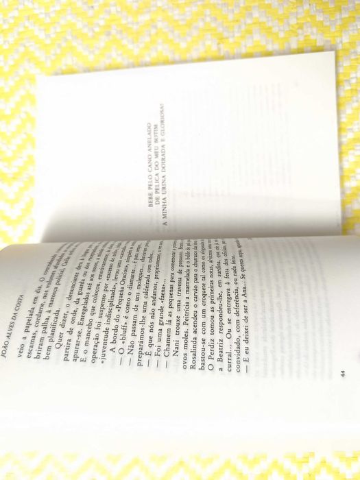 Sadomasoquismo S.FF. – 
João Alves da Costa