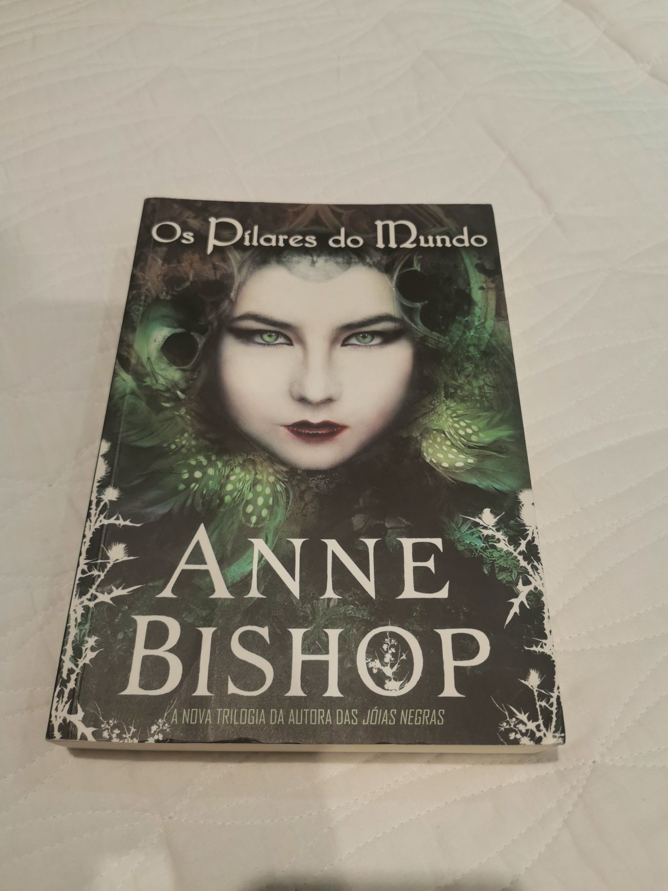 Os Pilares do Mundo Anne Bishop