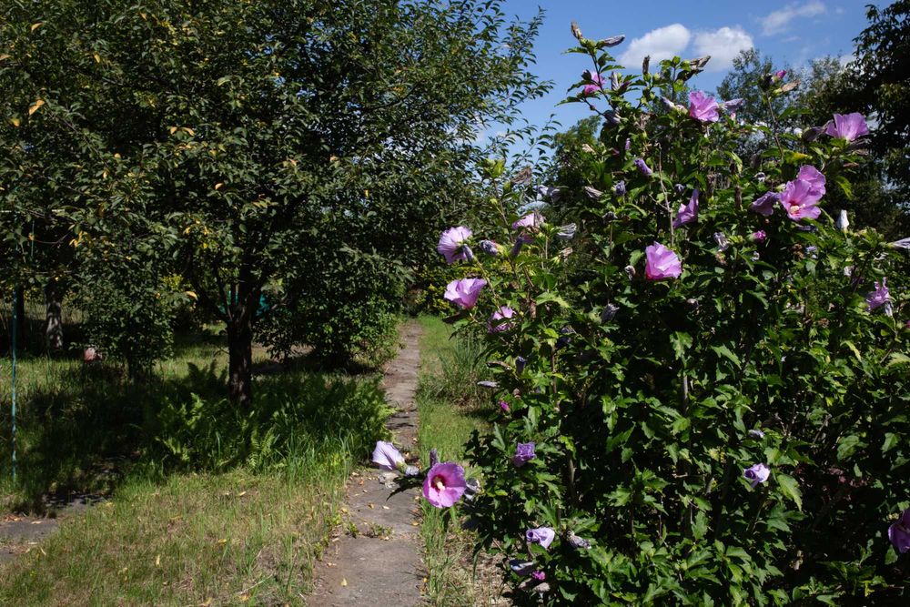 ROD Działka 572 m² – (5,7 ara) "KOLEJARZ", Kuźniczki