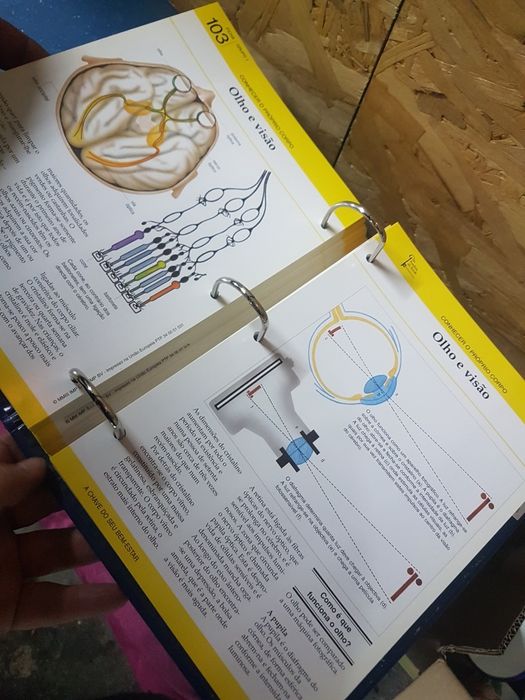 Guia Familiar da Saude - 6;volumes