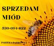 Miód spadziowy naturalny przebadany